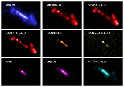 A Glimpse by Molecules - a Production Line Inside a Busy Star Factory in a Starburst Galaxy