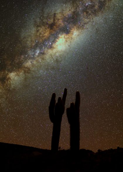 Giant cactus and the center of the Milky Way